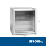 UF100G-P Tefcold Βιτρίνα κατάψυξη